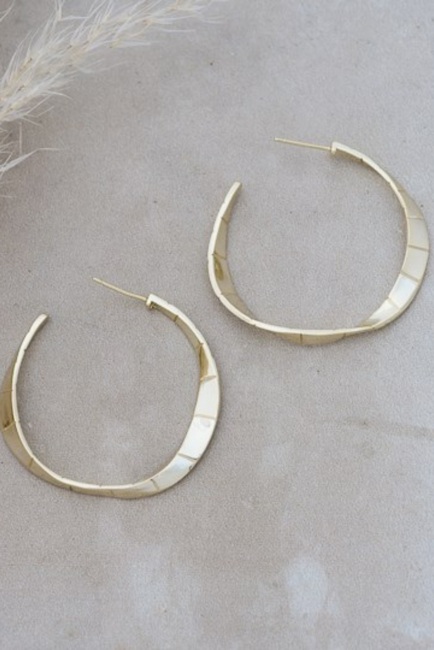 Babe Hoops